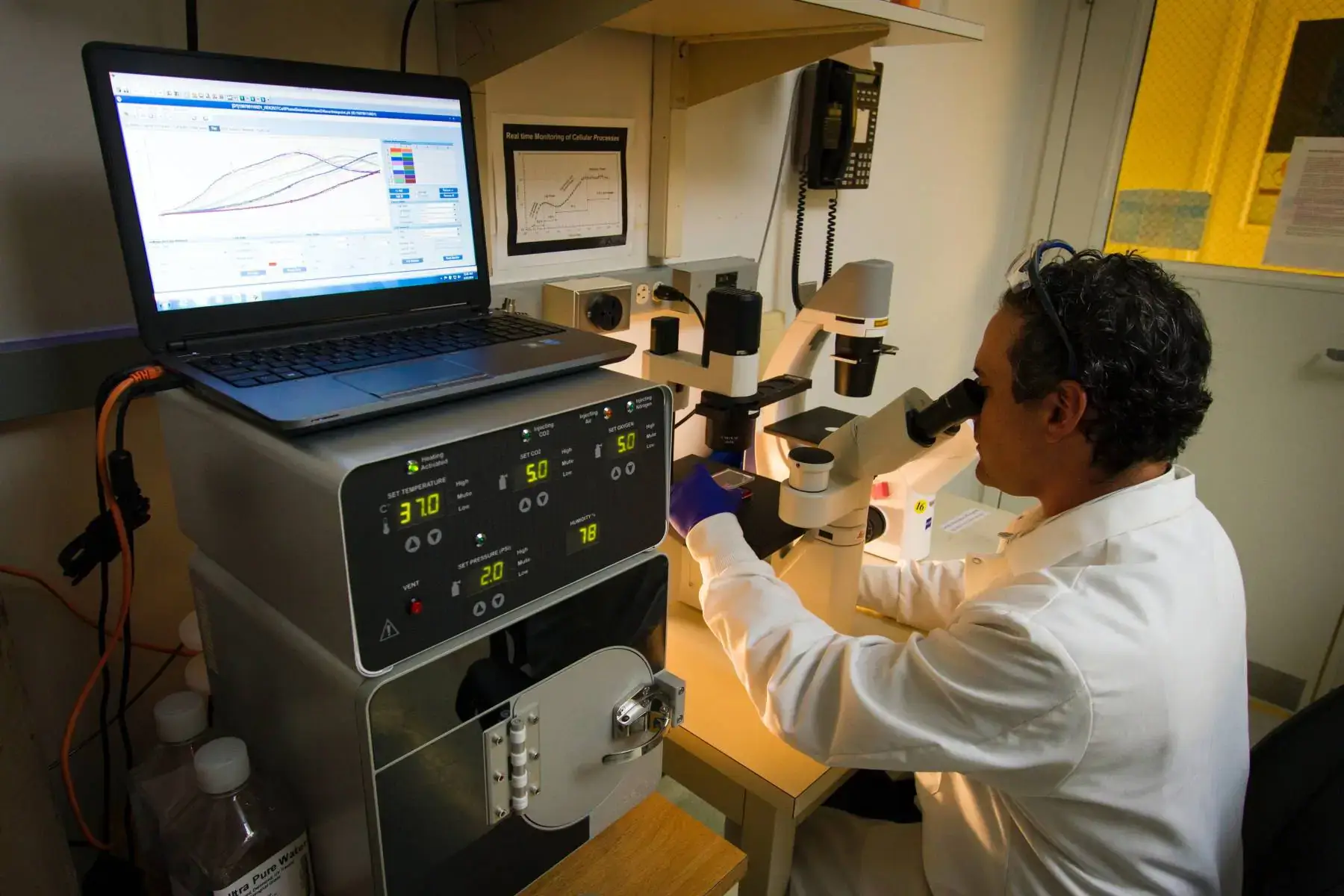 Understanding Peptides: The Science Behind Their Role in Health and Wellness