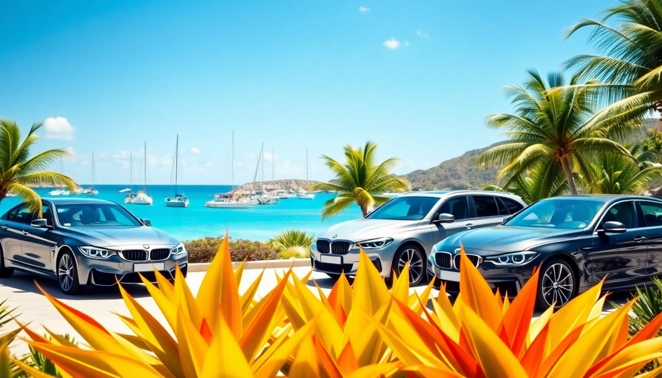 Discover the best car rental st barts vehicles lined up against a beautiful coastal backdrop.